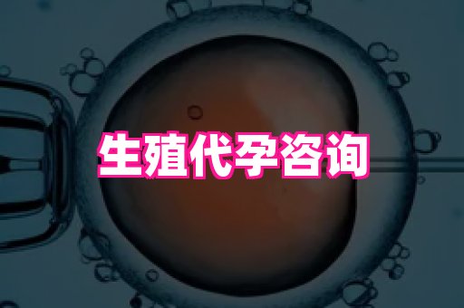 权威助孕网 1