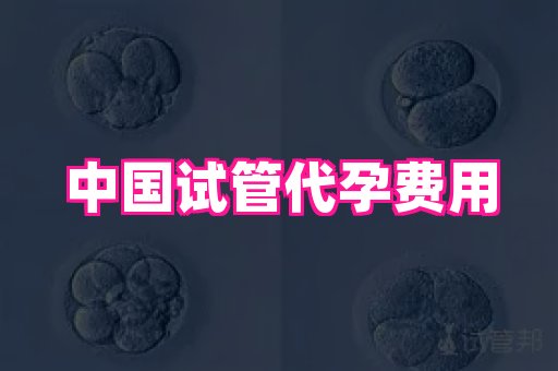 权威助孕网 3